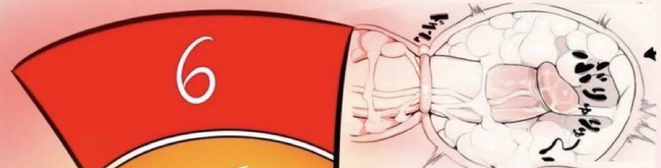 〔Vegeta • ベジータ〕 tweet media