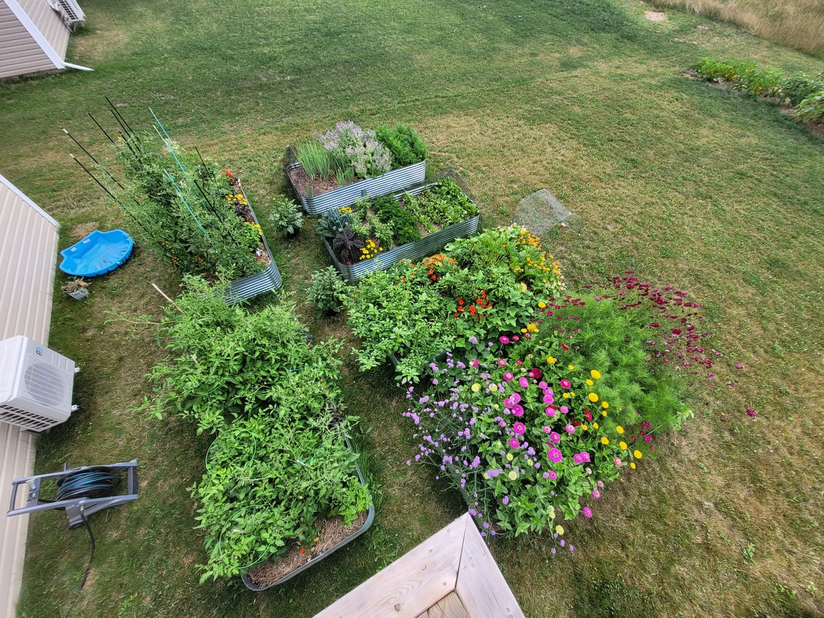 kaushib1's tweet photo. Kitchen garden part 1 done. https://t.co/jLtOU78qYg
