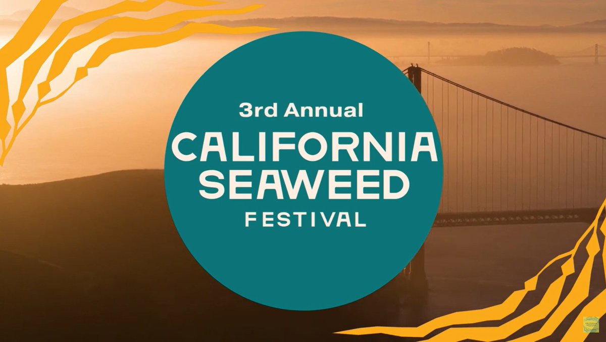 CASeaweedFest's tweet photo. #CASeaweed22 2 day festival. Schedule Outline:
Opening Event Day- Oct 7th 4-9PM: Seaweed Walk &amp; Seaweed Presentations (science&amp; art).
Main Festival Events - Oct 8th 10am-6pm: Seaweed Celebration! Seaweed activities, vendors, panels, &amp; workshops included. Events for all ages (1/4) https://t.co/biwuMFQy7n