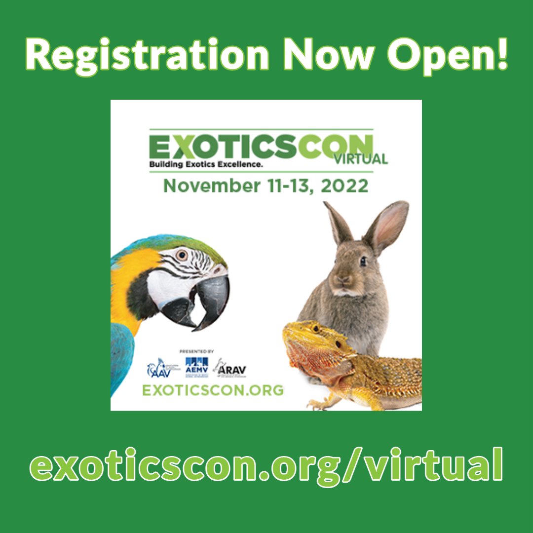aavonline's tweet photo. Registration is NOW OPEN for ExoticsCon Virtual! Don't miss this virtual event with 3 days of great content!

Register at https://t.co/cnivd3lfpf

#exoticscon #birdhealth #veterinarians #vetstudents #vettechs https://t.co/yJP9LYscdw