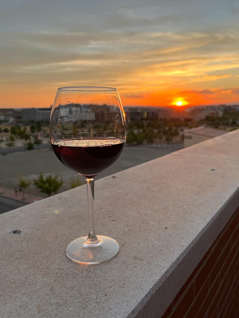 EstherAstorga's tweet photo. Vinito y mi momento favorito del día! 

No necesito más!🤎 https://t.co/cAaFZxrZb4