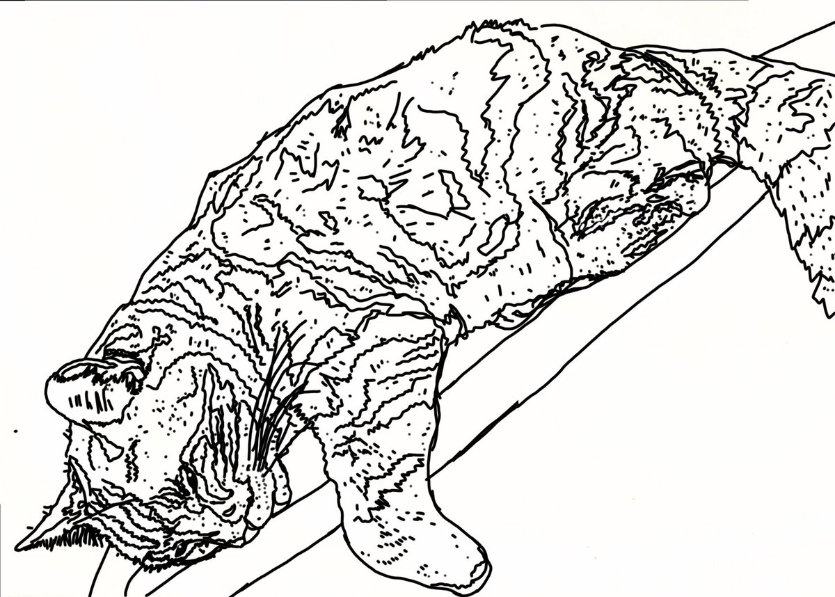 I Gigegni tweet media