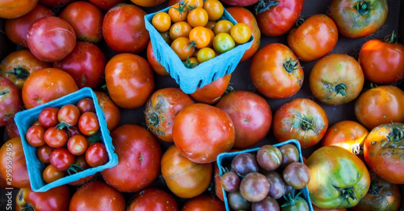 Tomatoes are in season & the soluble fiber in tomatoes helps reduce your calorie intake by keeping you full for a longer time & reduces your cravings. It also acts as a food source for good gut bacteria. Eat up!