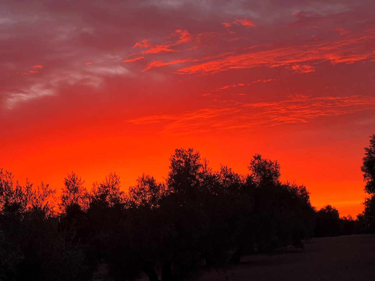 Septiembre, y sus maneras de hacer presencia.