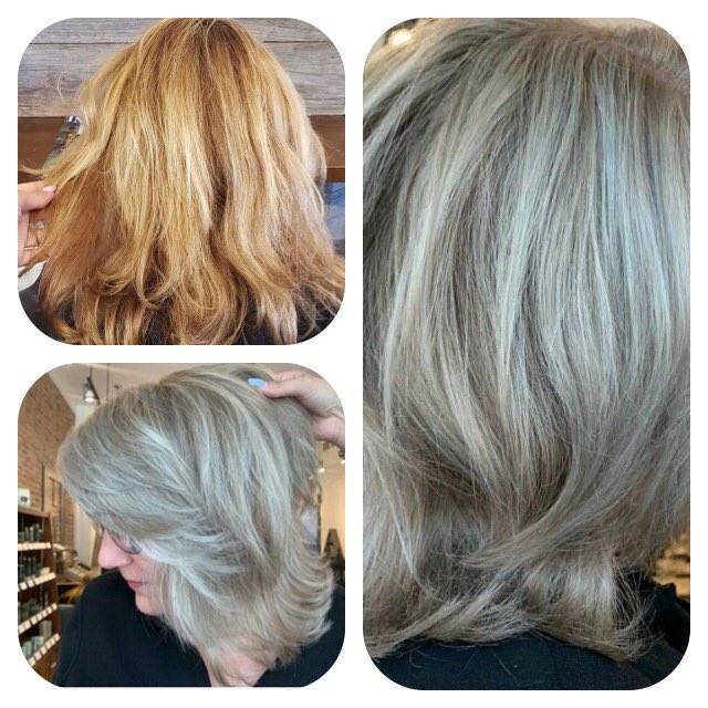 Dana McCauley tweet media