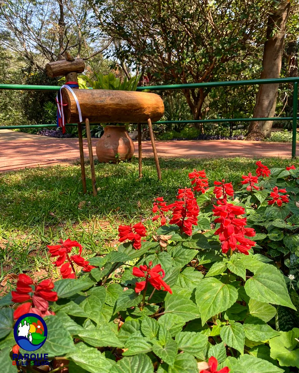 parquesaludpy's tweet photo. 🌸𝘽𝙞𝙚𝙣𝙫𝙚𝙣𝙞𝙙𝙤 𝙎𝙚𝙥𝙩𝙞𝙚𝙢𝙗𝙧𝙚! Así recinilos hoy el mes más lindo del año. Estamos listos para la primavera 🌷✨
#parquedelasalud #saludybienestar #mesdelaprimavera #septiembre #paraguay 🌳🪵 https://t.co/EHYgulbMpc