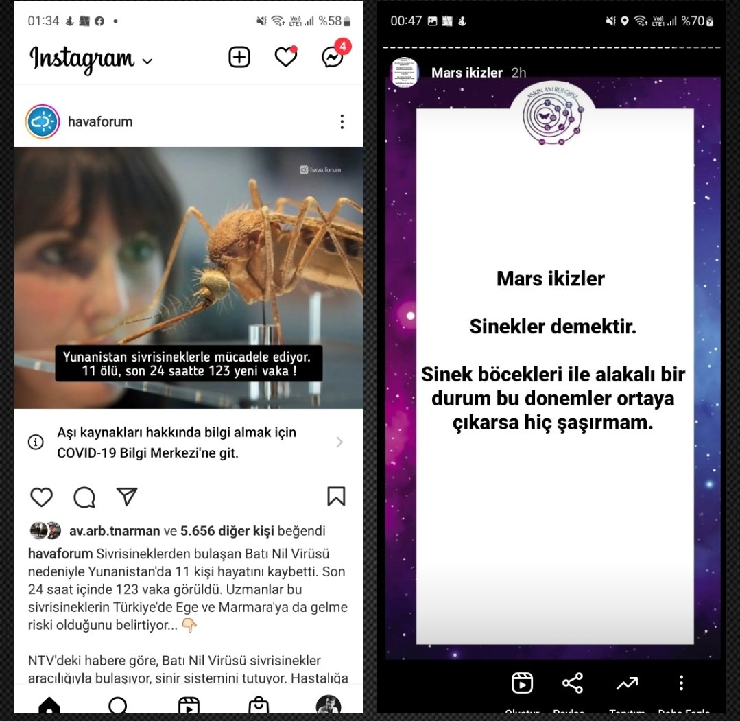 askin_1984's tweet image. 3 hafta önceki ön görü ve tahminim #sinekler #billgates #astroloji