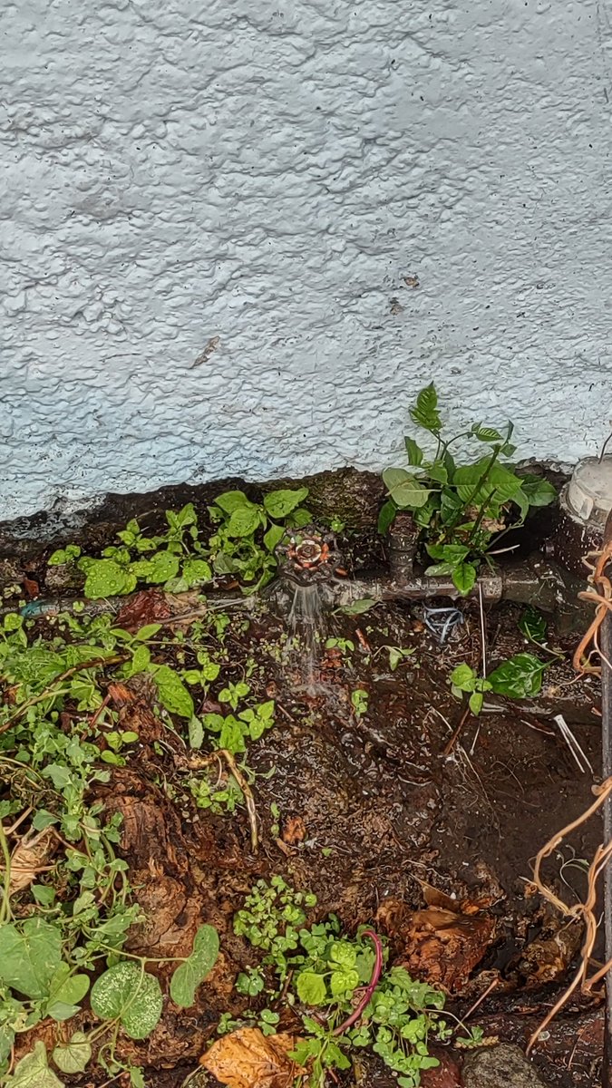 vov8189's tweet photo. @GobCDMX @SPCCDMX Fuga de agua en privada de tonco, delegación Tlalpan. Col. Pedregal puente de piedra. https://t.co/jB4L7XrEQG