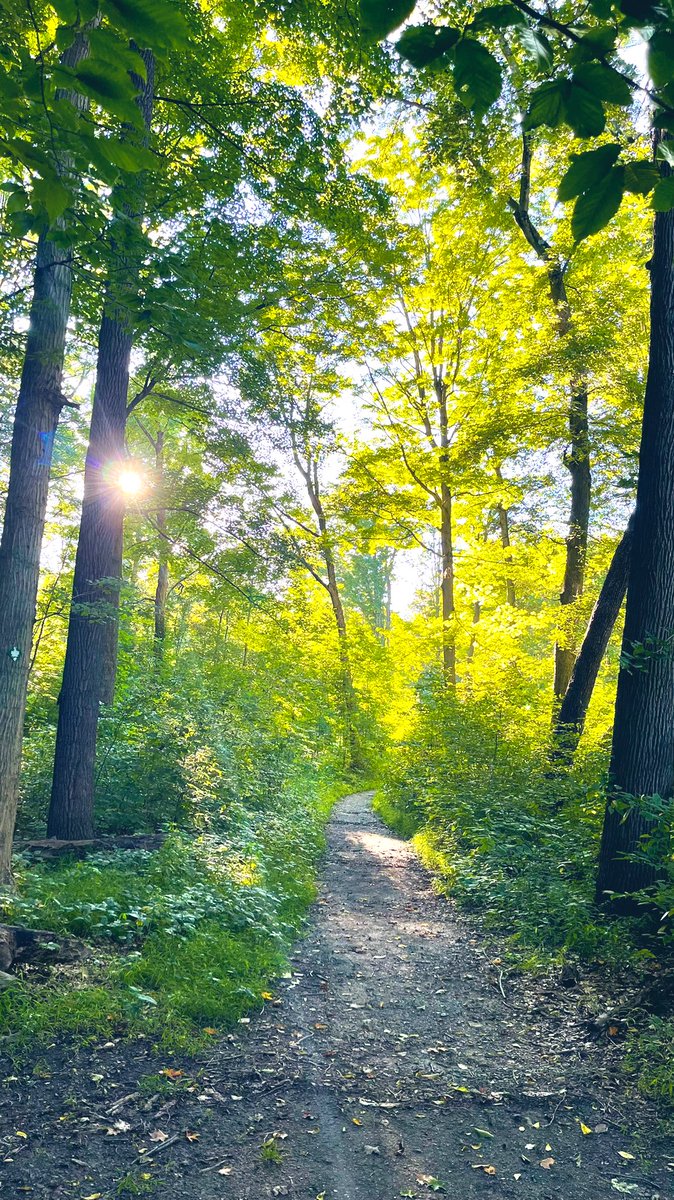 AjmaniK's tweet photo. Hello #September!
#Gratitude #Walking140 https://t.co/25aTb16eZ2