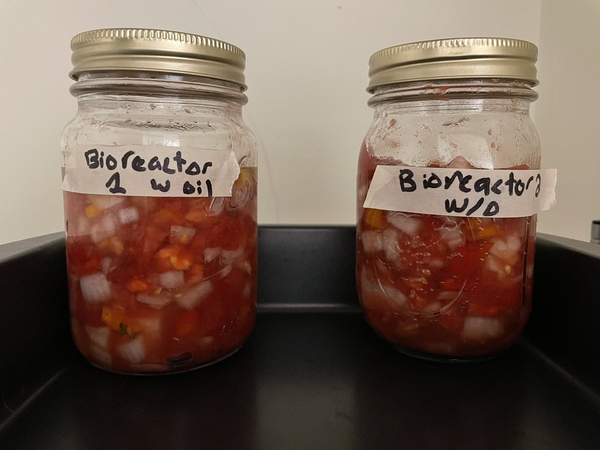 fermented salsa with my excess tomatoes.