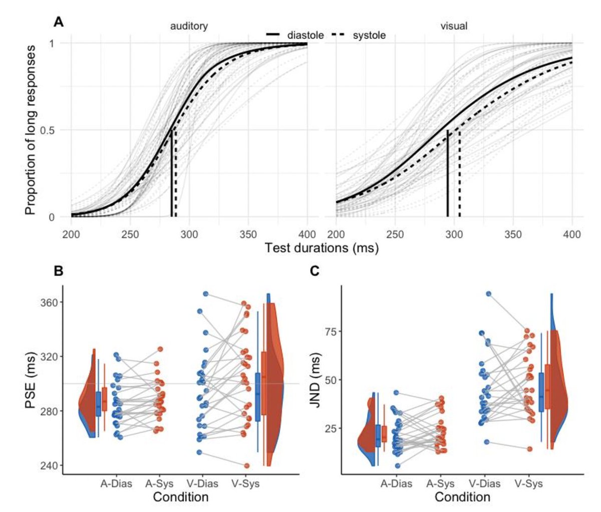 micahgallen's tweet photo. Does our perception of time oscillate with the heartbeat? This intresting preprint from @irena_arslanova and @manos_tsakiris suggests it does! Nice use of psychophysical methods here. The heart as a subjective pacemaker? Probable role for insula...  https://t.co/faf3nXfZ7v https://t.co/BSOvU8pRgw