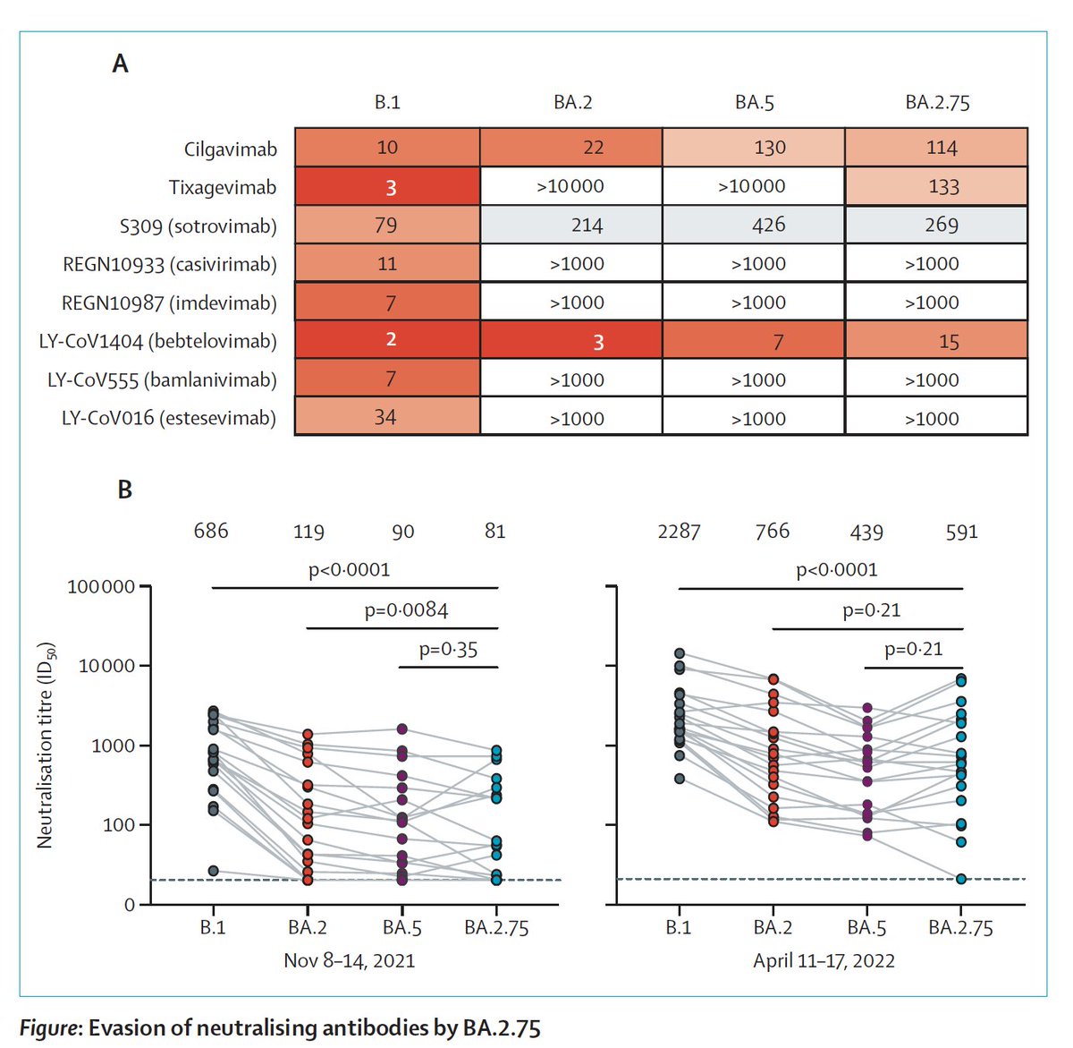 Eric Topol (@erictopol) on Twitter photo Sone good news about the BA.2.75 variant, in case it gets legs: it's not more immune evasive than BA.5, has cross-immunity w/ BA.1/2, and is still sensitive to Evusheld and Bebtelovimab
thelancet.com/journals/lanin… <a href="/TheLancetInfDis/">The Lancet Infectious Diseases</a>
<a href="/BenjMurrell/">Ben Murrell</a> <a href="/PeacockFlu/">Tom Peacock</a> <a href="/DannySheward/">Daniel Sheward</a> & colleagues Sone good news about the BA.2.75 variant, in case it gets legs: it's not more immune evasive than BA.5, has cross-immunity w/ BA.1/2, and is still sensitive to Evusheld and Bebtelovimab
thelancet.com/journals/lanin… <a href="/TheLancetInfDis/">The Lancet Infectious Diseases</a>
<a href="/BenjMurrell/">Ben Murrell</a> <a href="/PeacockFlu/">Tom Peacock</a> <a href="/DannySheward/">Daniel Sheward</a> & colleagues