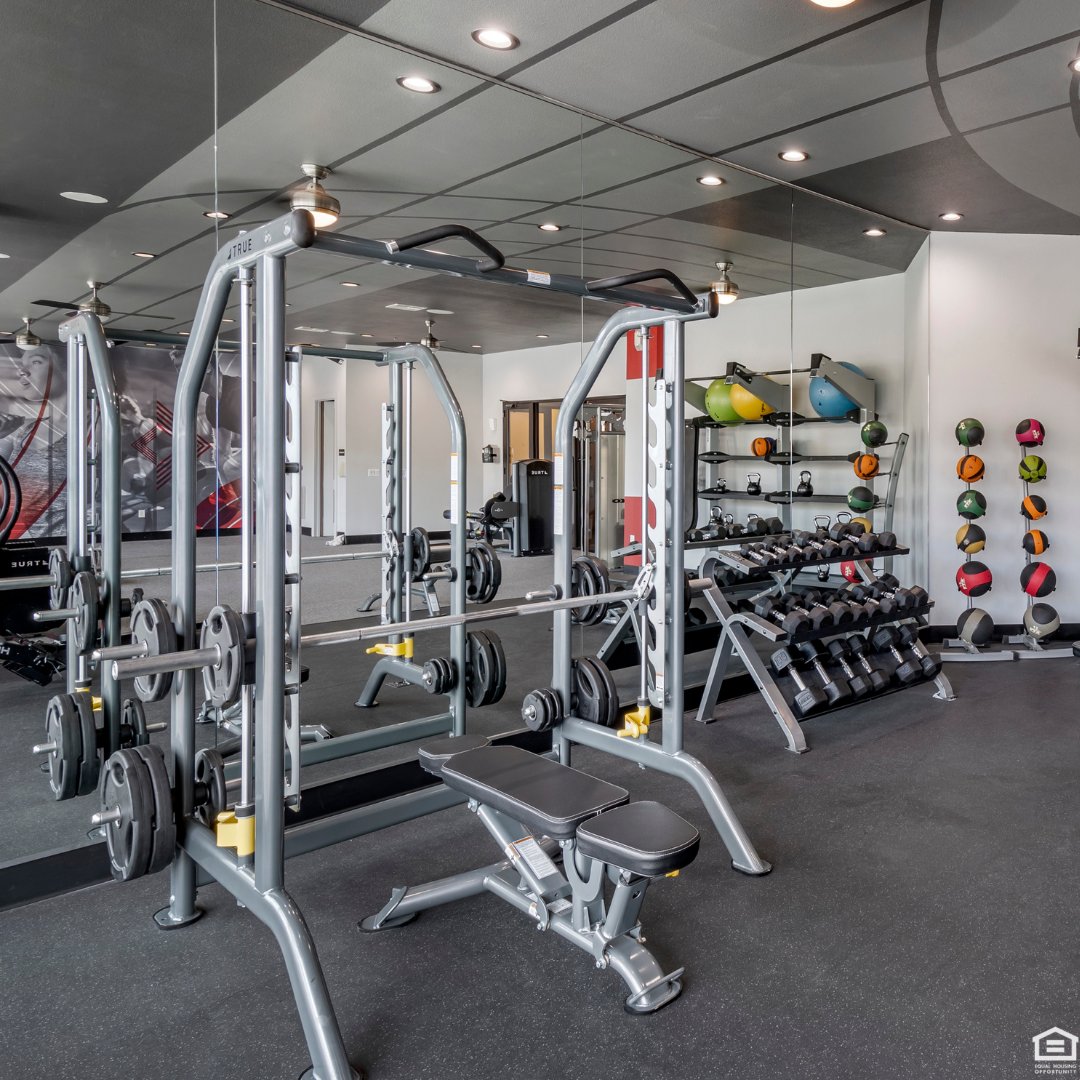MockingbirdFlat's tweet photo. Did you know that our well-equipped fitness center is open 24 hours a day, seven days a week!?!💪
So whether you like to get your workout in the morning or at night you can count on our fitness center to be open.🏋️‍♂️
https://t.co/ZESGB8DLan https://t.co/OK97f4vVE6