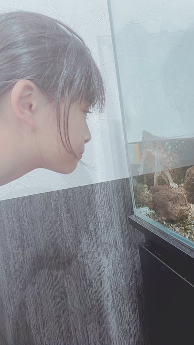 Twitterのコスプレ画像34