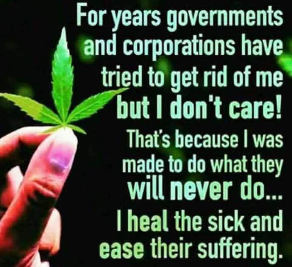 MSMedCannabis's tweet image. #EndProhibition 
#EndItForGood