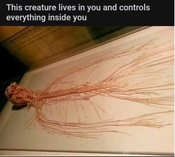 _Zombie_Crew_'s tweet image. 