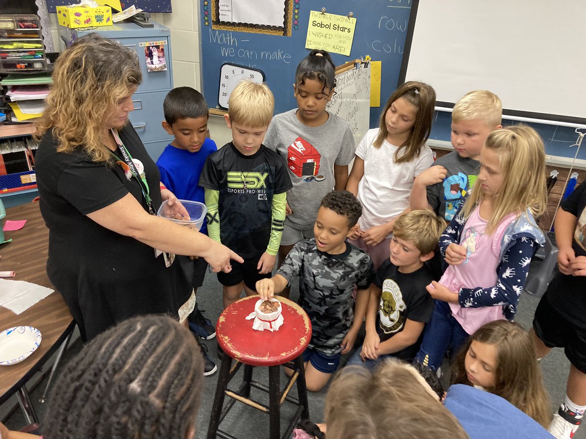 Days 3 and 4 of common experiment with the SOBOL Stars! We ran out pennies- counted past 300! The thick napkin was the strongest! #vcsscientists <a href="/TimbercrestElem/">Timbercrest Elementary School</a> The SOBOL Stars ⭐️ were right!