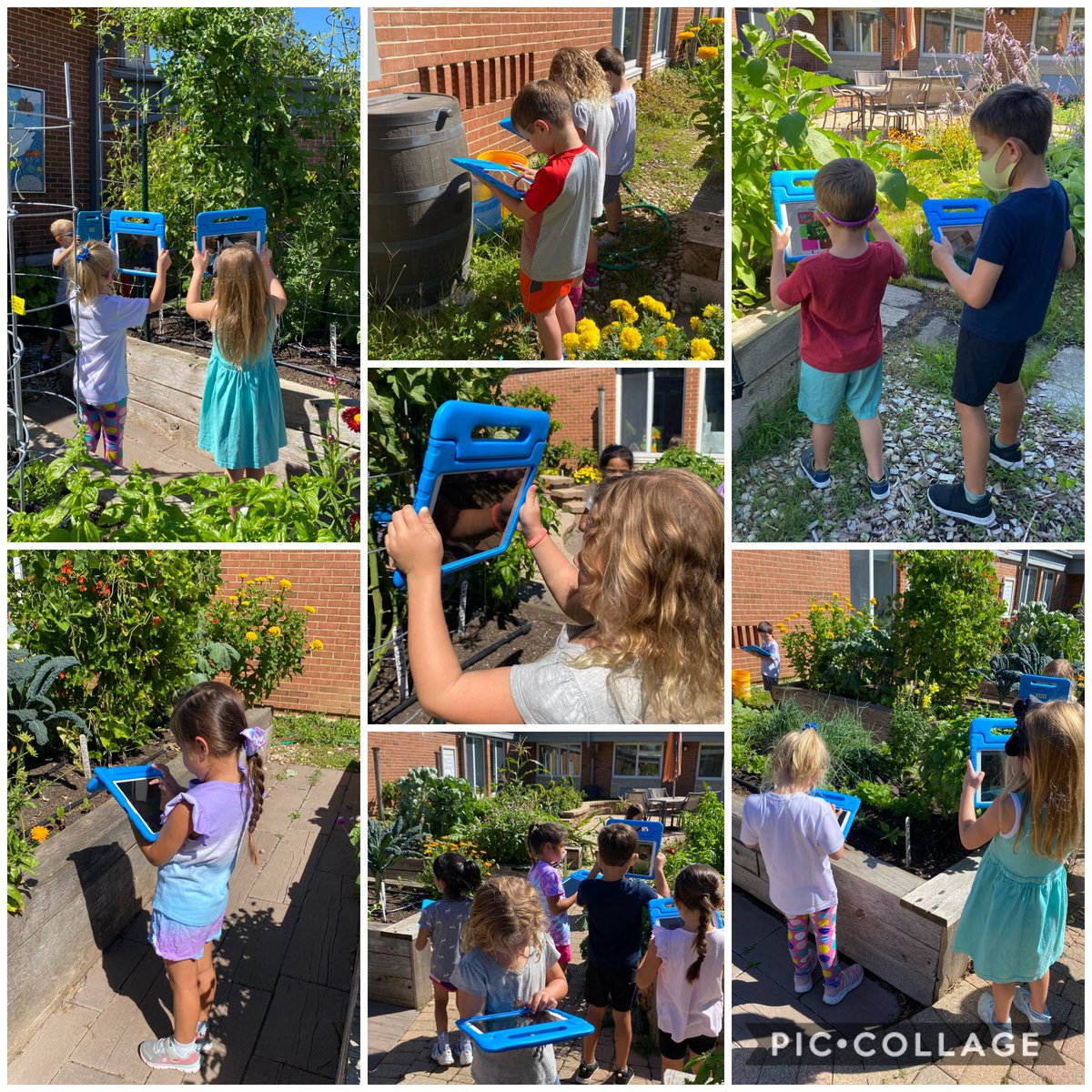 Yesterday we visited the garden for the first time! Everyone was so focused as they practice their photography skills. We are lucky to be able to learn in this beautiful space!