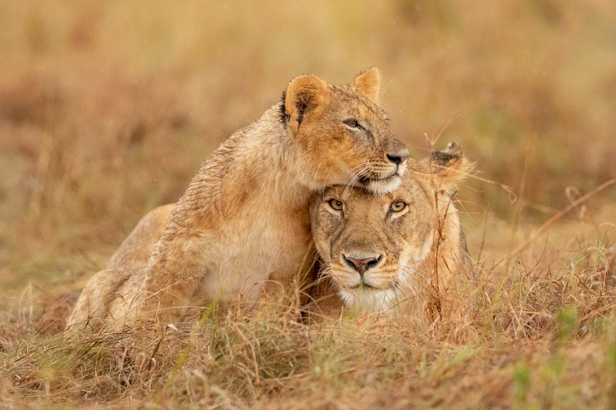 Girls Who Click tweet media