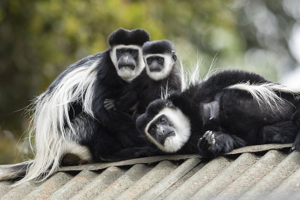 Girls Who Click tweet media