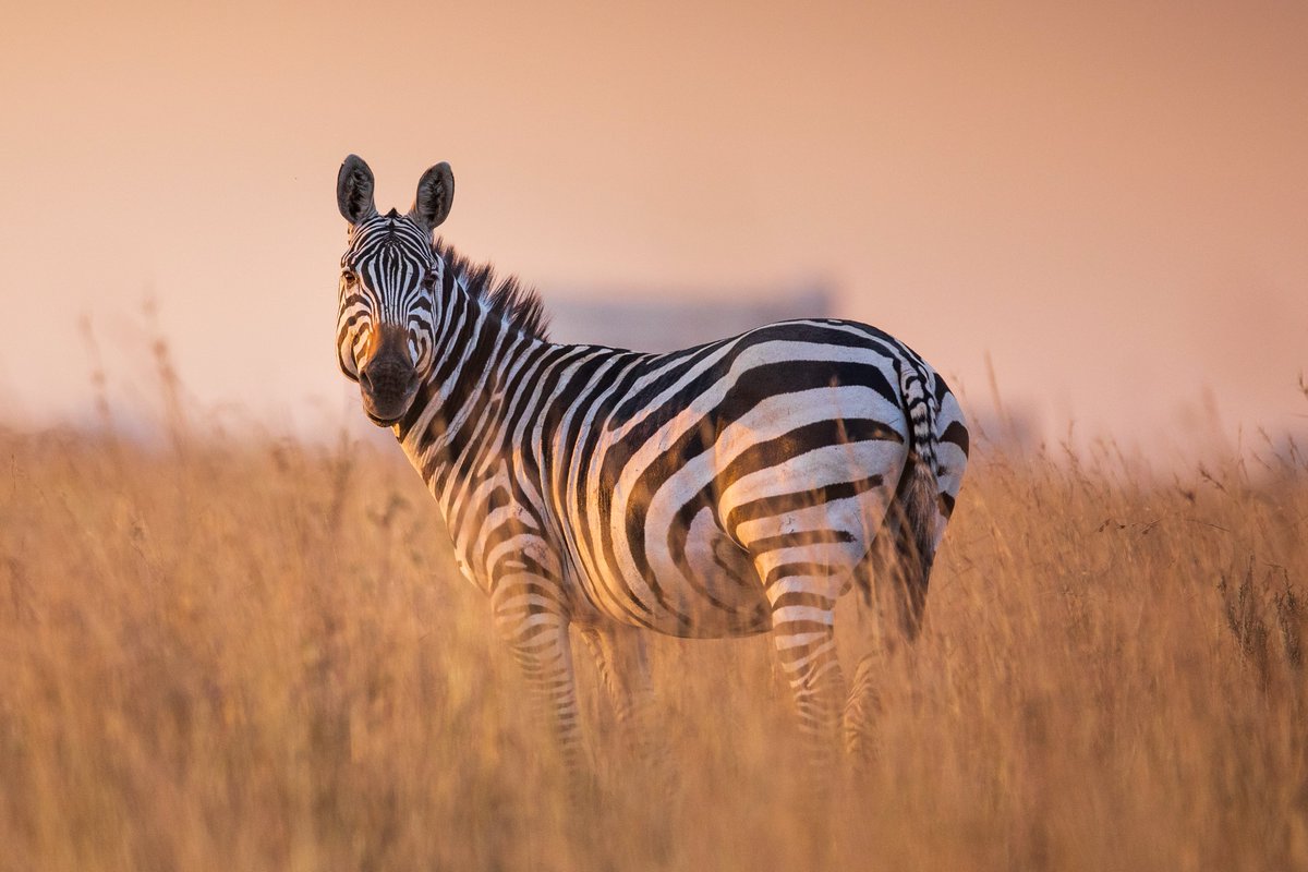 Girls Who Click tweet media