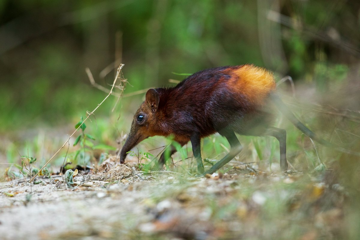 Girls Who Click tweet media