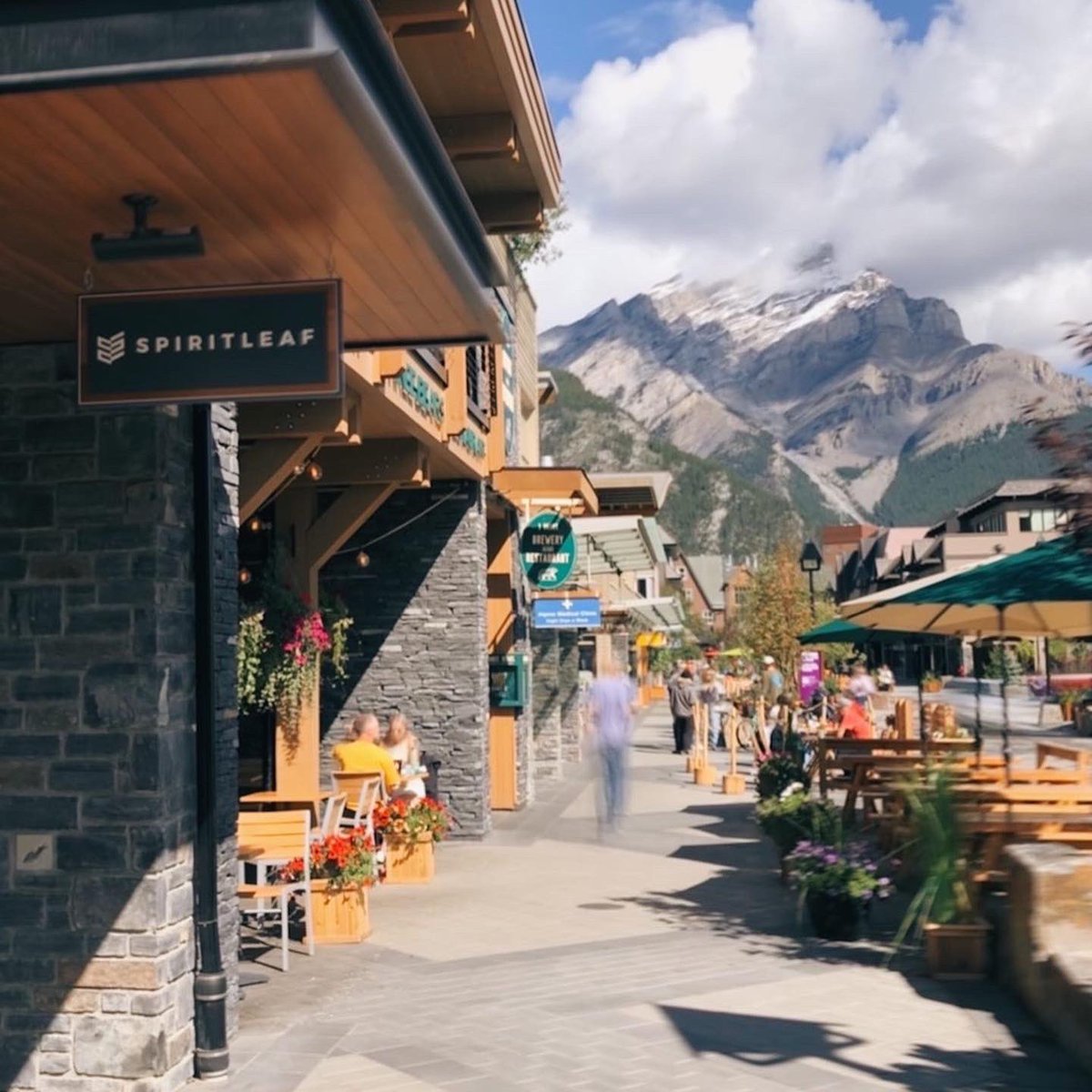 Spiritleaf Banff tweet media