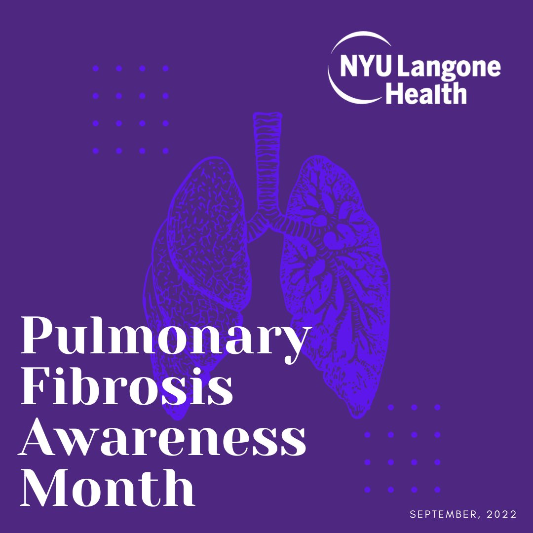 NYULangonePCCSM's tweet photo. September is Pulmonary Fibrosis Awareness Month and we'll be joining the pulmonary community in raising awareness, promoting advances, and supporting those suffering with #IPF. 

#pulmonaryfibrosis #IPFawareness #lung #Lungtransplant https://t.co/yV0ANRYjy3