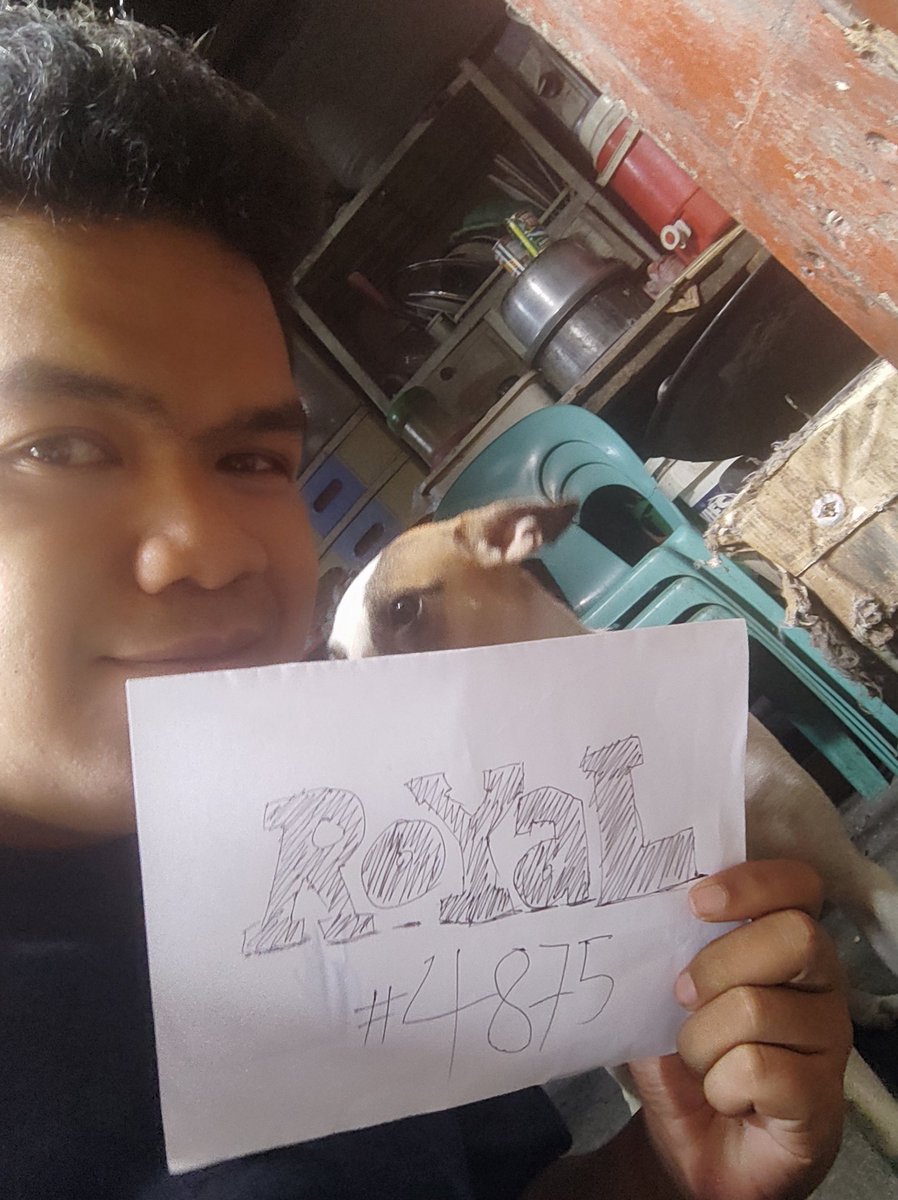 Meet Pampu 🤣
<a href="/LLGuild/">☀️ LedgerLegends</a> 
#WeAreLimitless
#LLGMobius
#LimitlessQuest
#LLGLoveDoggo