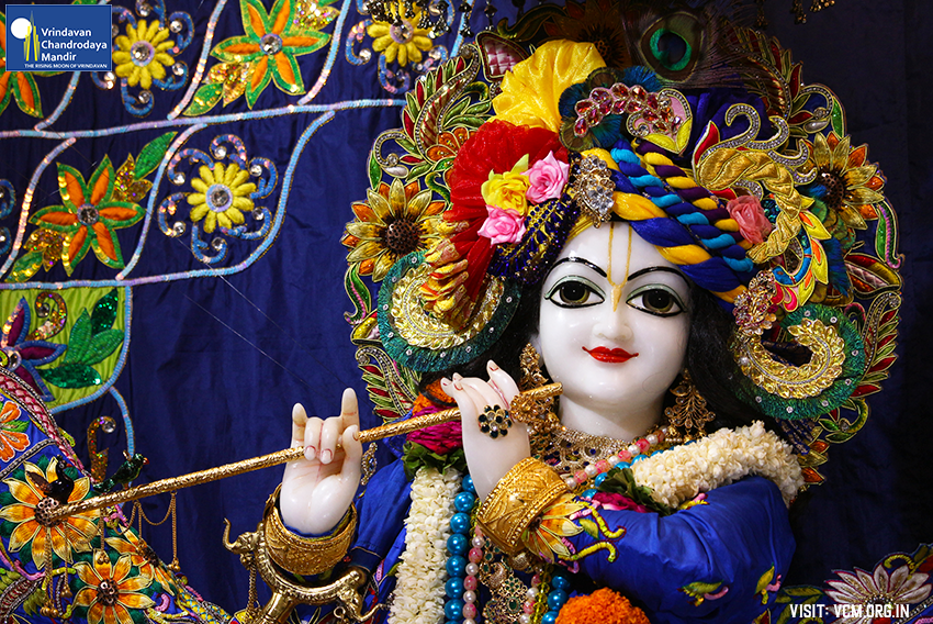VCMVrindavan's tweet photo. ❀𝐻𝑎𝑟𝑒 𝐾𝑟𝑖𝑠ℎ𝑛𝑎❀━
🙏🏽 Today's Darshan 📿          
🌷 Vrindavan Chandrodaya Mandir 🌷  
 ━❀02/09/2022 ❀━

#krishnas #radha #ISKCON #vrindavan https://t.co/7KuF07IWIw