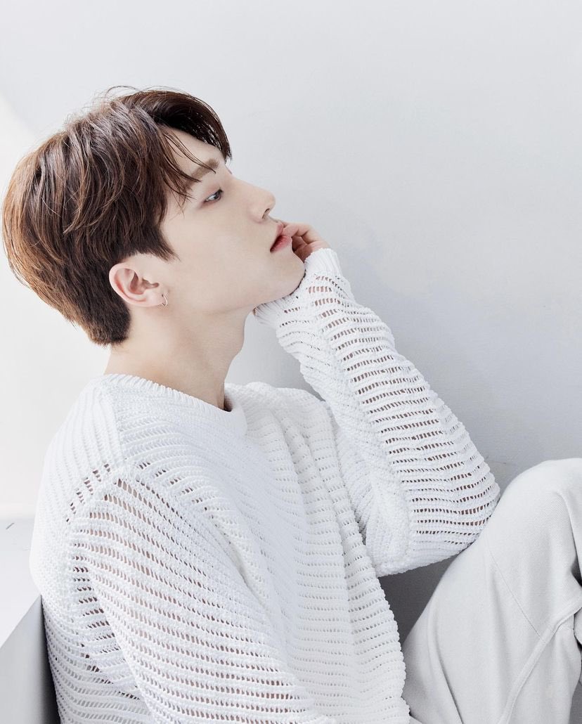 디노.zip tweet media
