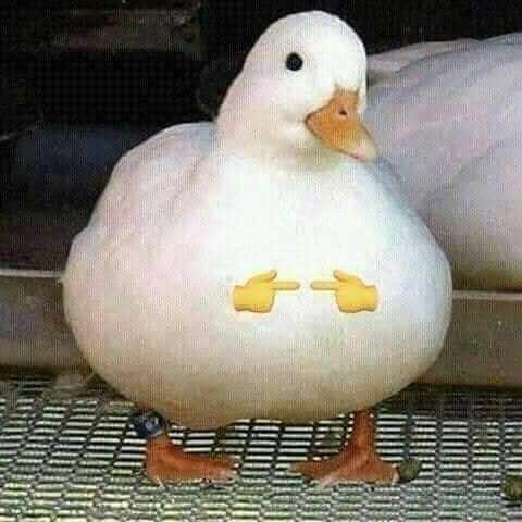 DK_is_SVT's tweet photo. But still, my dm is always open in any situation. You know what you have to do if you miss me, right? https://t.co/up2yFpPfga