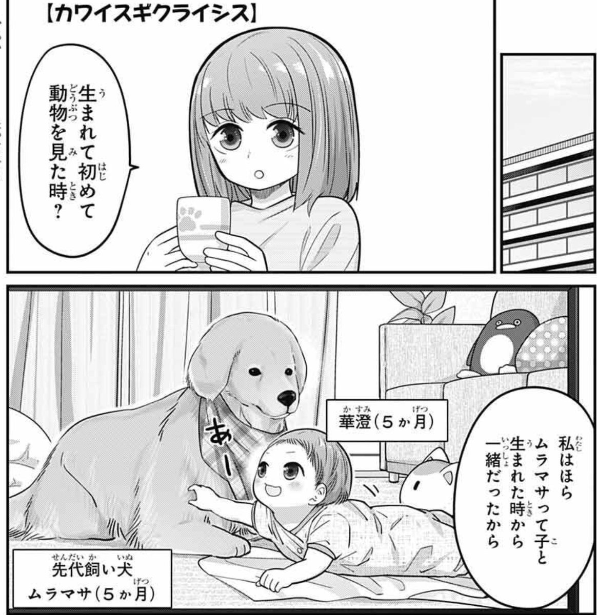 ジャンプSQ.編集部 on X: 