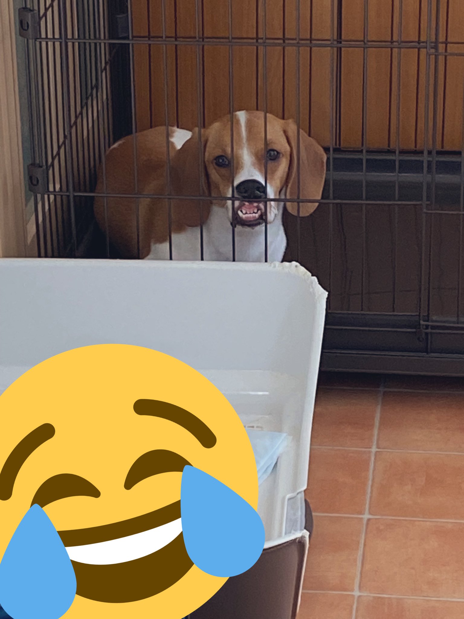 Jzbvbouwvfrrtm