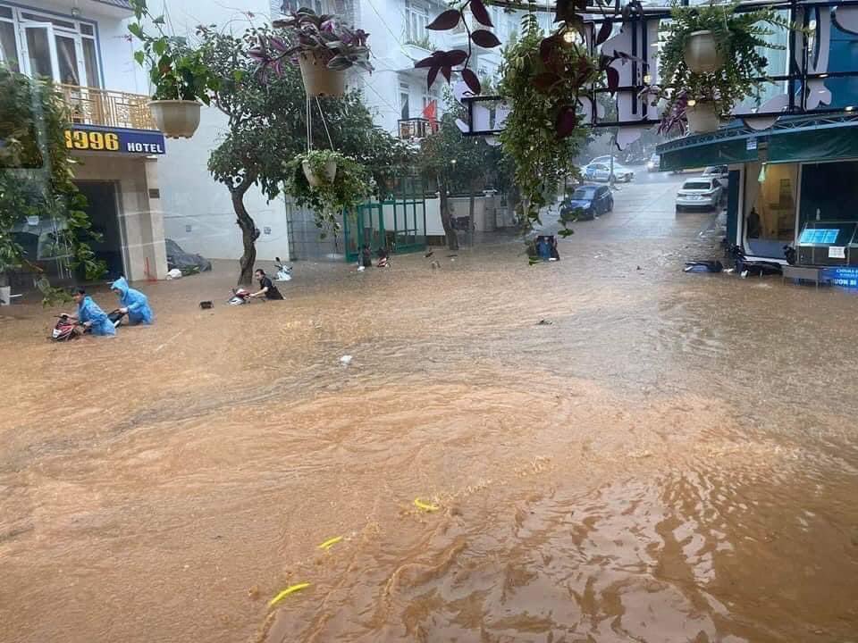 wunanka's tweet photo. Đà Lạt mùa này nước cũng như sông… https://t.co/eC1AFOUrE5