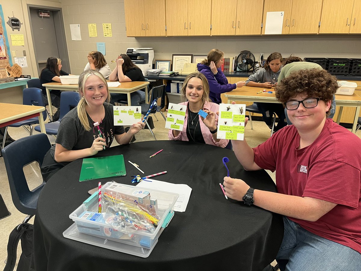 Advanced animal science students are studying insects and their individual impacts on agriculture, whether beneficial or harmful. Students then chose household items to illustrate common mouth types of insects.<a href="/LampasasHS/">Lampasas HS</a>