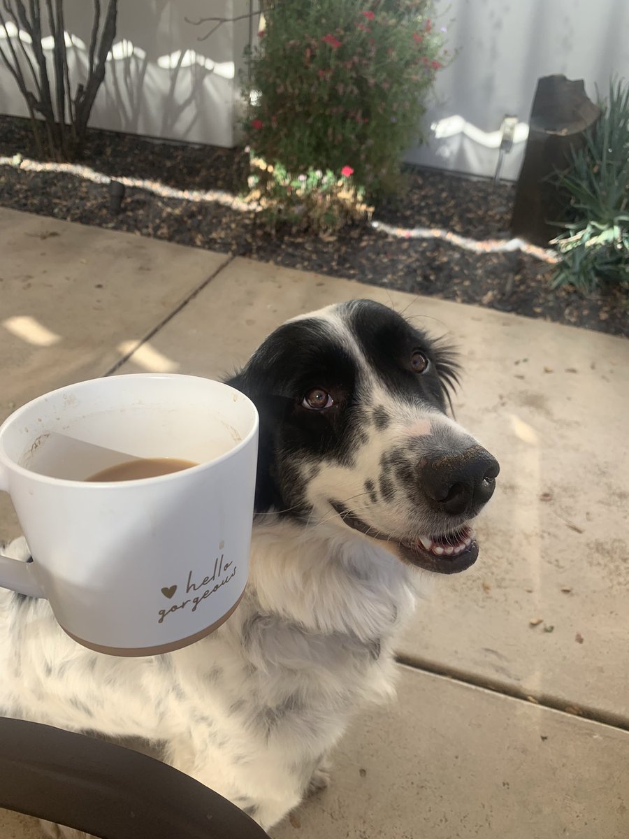 MegsCast4's tweet photo. The world needs another Maddie pic ❤️ https://t.co/HPFRL4HS7f
