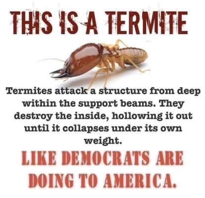 whoa_rob's tweet image. Termites...
@RDog861
@45Catnip
@oak_sean
@CAT_30A
@Hrmn220
@SeanTDel
@Tawnie_1
@PierroLevi
@dugudichi
@GJewkes3
@CrushDS6x
@m0t0rgrd3r
@JoTrumpCA 
@MaryLanser
@LundyLuther
@bitemecommies
@WEARECOMING4U1