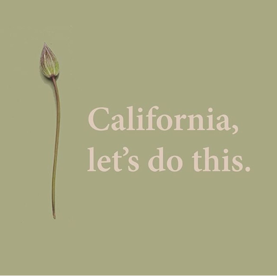 recomposelife's tweet photo. Huge news! AB 351 has passed the Senate AND the Assembly in California. We are inches away from being able to offer human composting to 39 million more people. https://t.co/HHY3RNbTvb