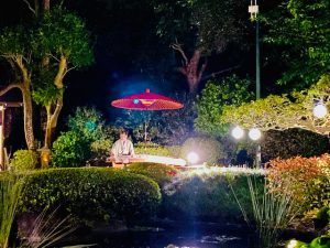 AJSQld's tweet photo. UPDATE - at this stage the Evening in a Japanese Garden event on Sep 3 is proceeding.
However, as rain has been forecast, final decision will be made midday Saturday. Please check the website at that time for updates..
https://t.co/qu6ImnRk4l
#mtcootha #japanesegarden #rainalert https://t.co/yoP3aIg5Bc