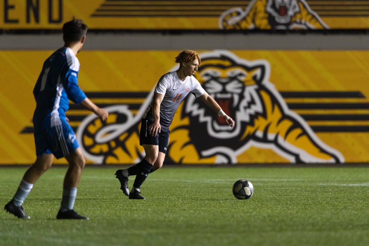 From parks to stadiums 🦁