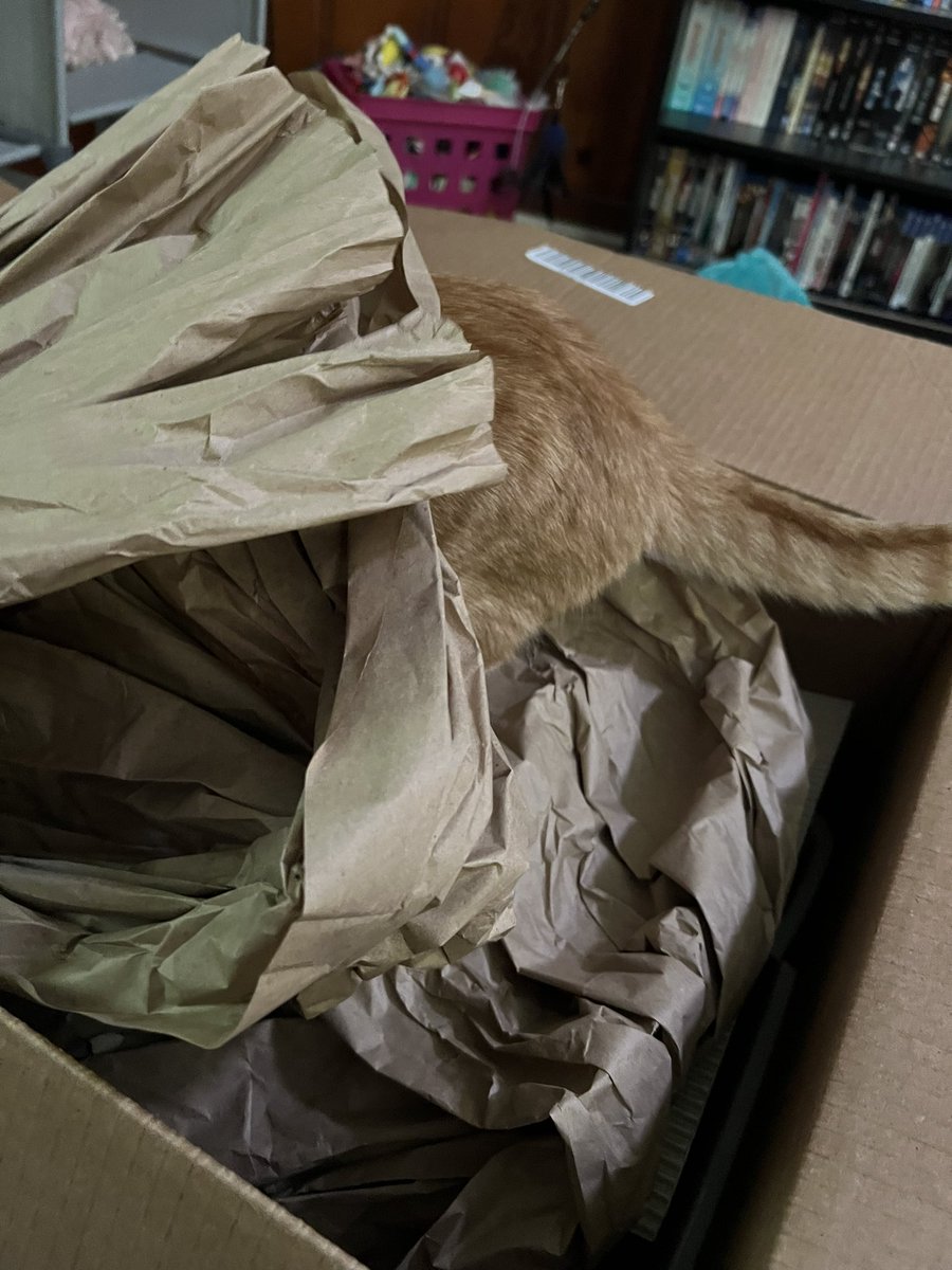 FaendinaCosplay's tweet photo. When it’s #GingerCatAppreciationDay  and you get a shipment from Chewy https://t.co/JeyDr5UKxp