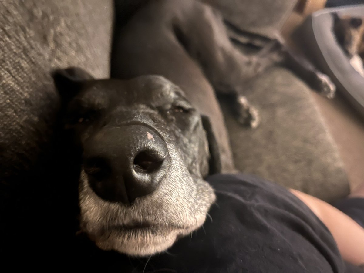 UnpluggedDevops's tweet image. Mushy mushy