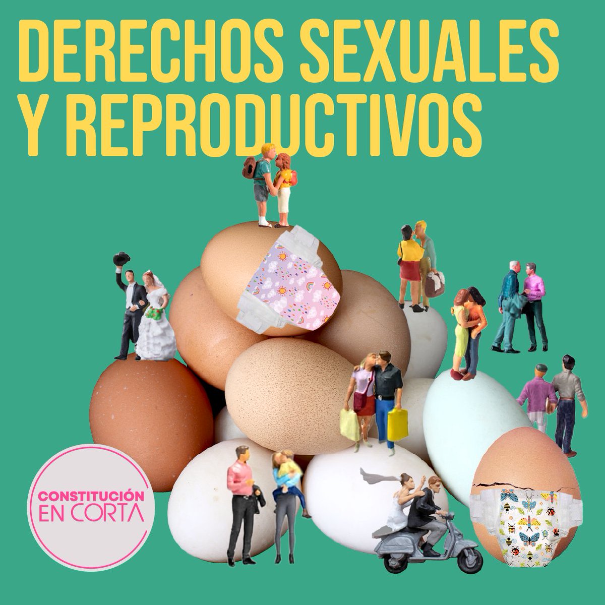 ConstiEnCorta's tweet photo. Como dice el dicho: “En la cama y en la mesa es inútil la vergüenza”… y para que no salga con quintillizos, mijx… 🍼 https://t.co/l7QjtDTxsv