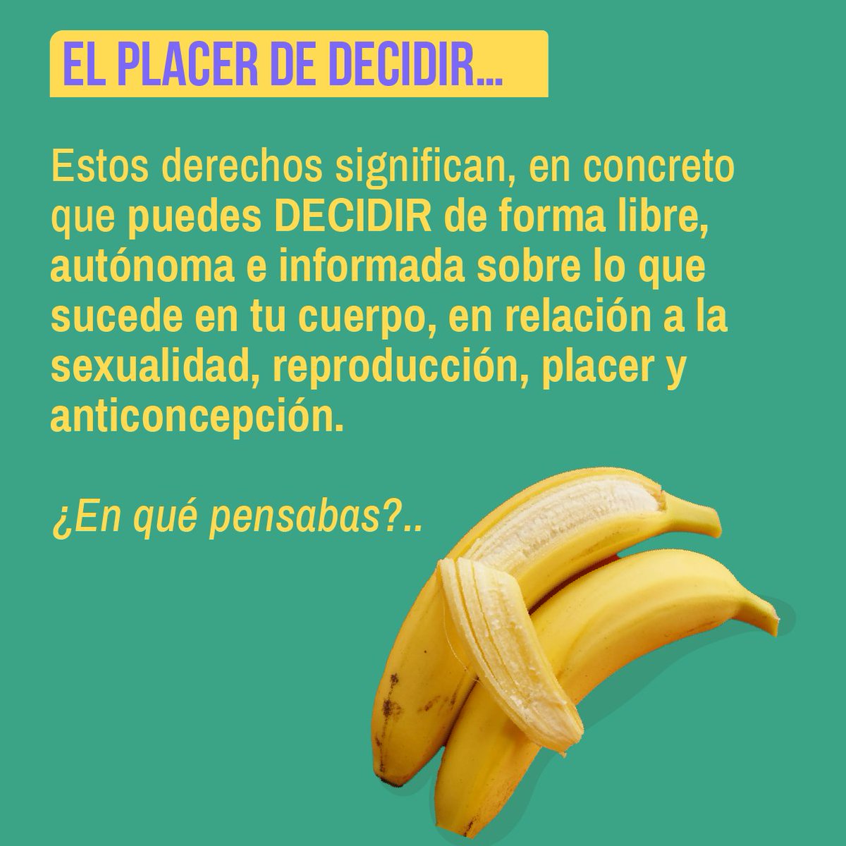 ConstiEnCorta's tweet photo. En #ConstituciónEnCorta le abrimos las puertas al placer 🦚… al placer de informar… al placer de conocer… y ¡al placer de votar informado este 04 de septiembre!… 😉
#participacion #democracia #encorta #constitucionencorta #votoinformado
#derechossexuales https://t.co/FTFzNqXplS