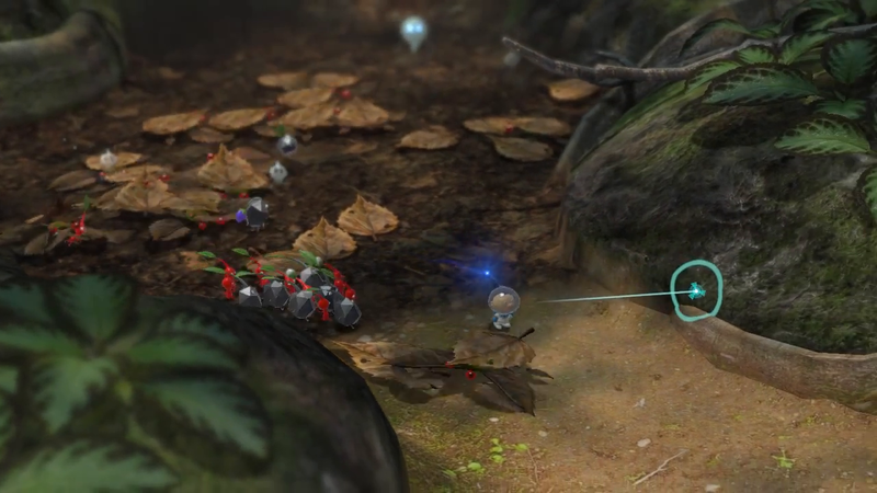 Creature of the Day! tweet media