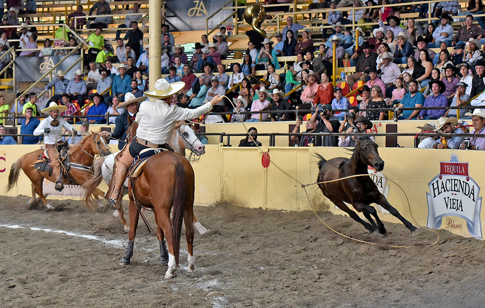 millonariothv's tweet photo. Rancho El Pitayo gana la primera eliminatoria “AAA” del #CampeonatoMillonarioTHV #LaPichoniza

https://t.co/nwoiIBBZMZ https://t.co/f2xji0hCeU