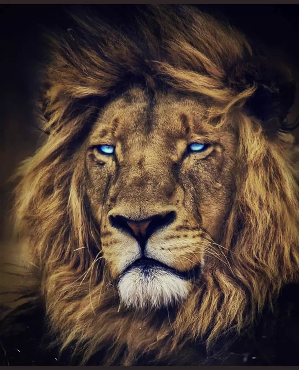 shsboysbball's tweet photo. We have great young men in our program. That’s all I wanted to say #shshoops #PlayerLedProgram #BuiltOverDecades #LuckyCoaches https://t.co/cv5WAlMeUn