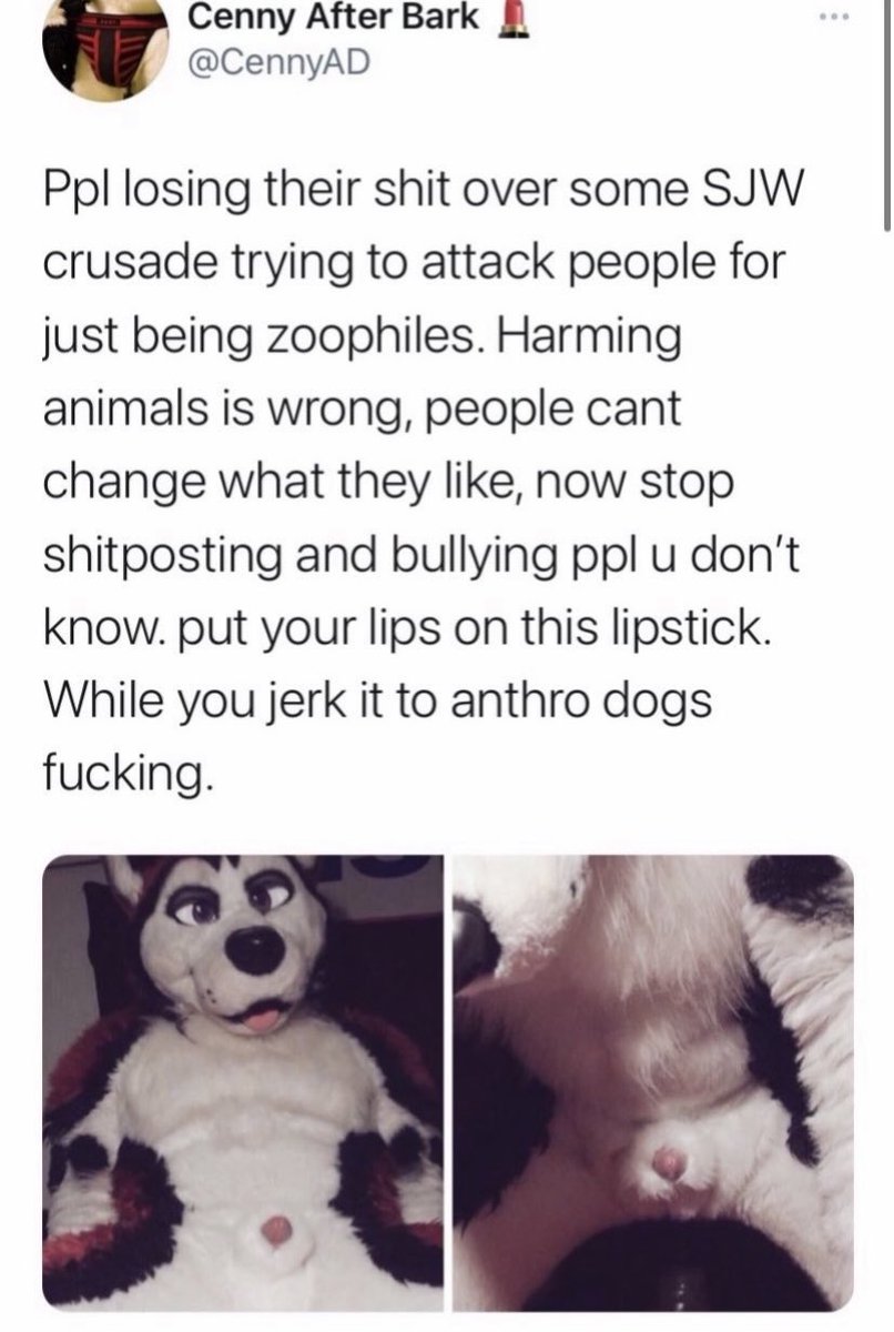Cennyhuskyiszoo's tweet photo. 4: Various things he has said in support of zoophilia https://t.co/ZMrqRmLAwJ