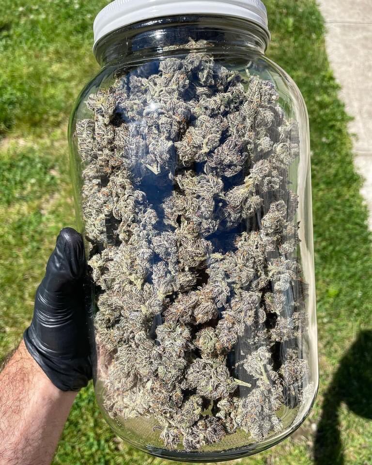 A jar of happiness from me to you🫙 
👉🏻high420.shop